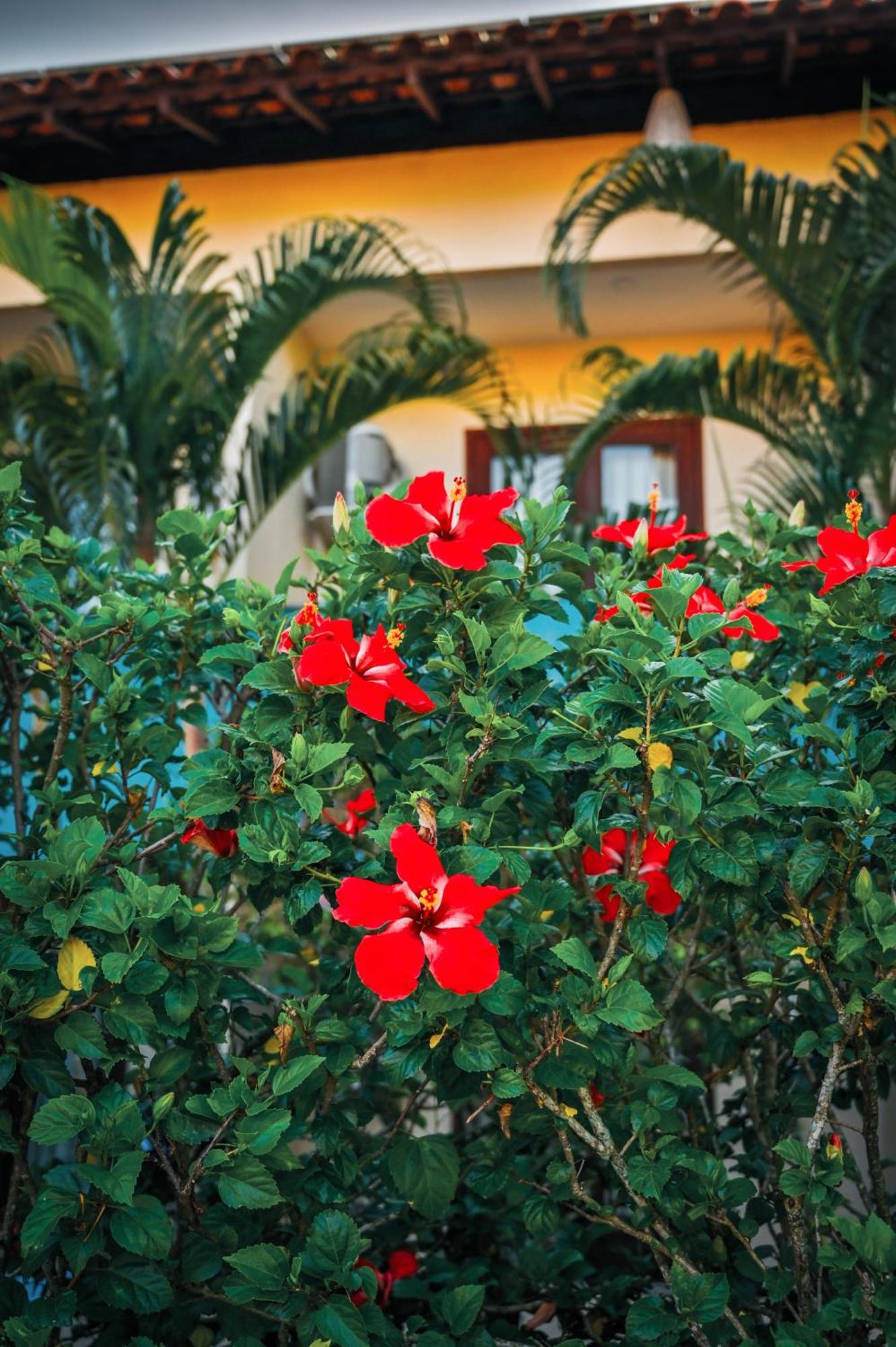 Hotel Ayla Centro Porto Segur