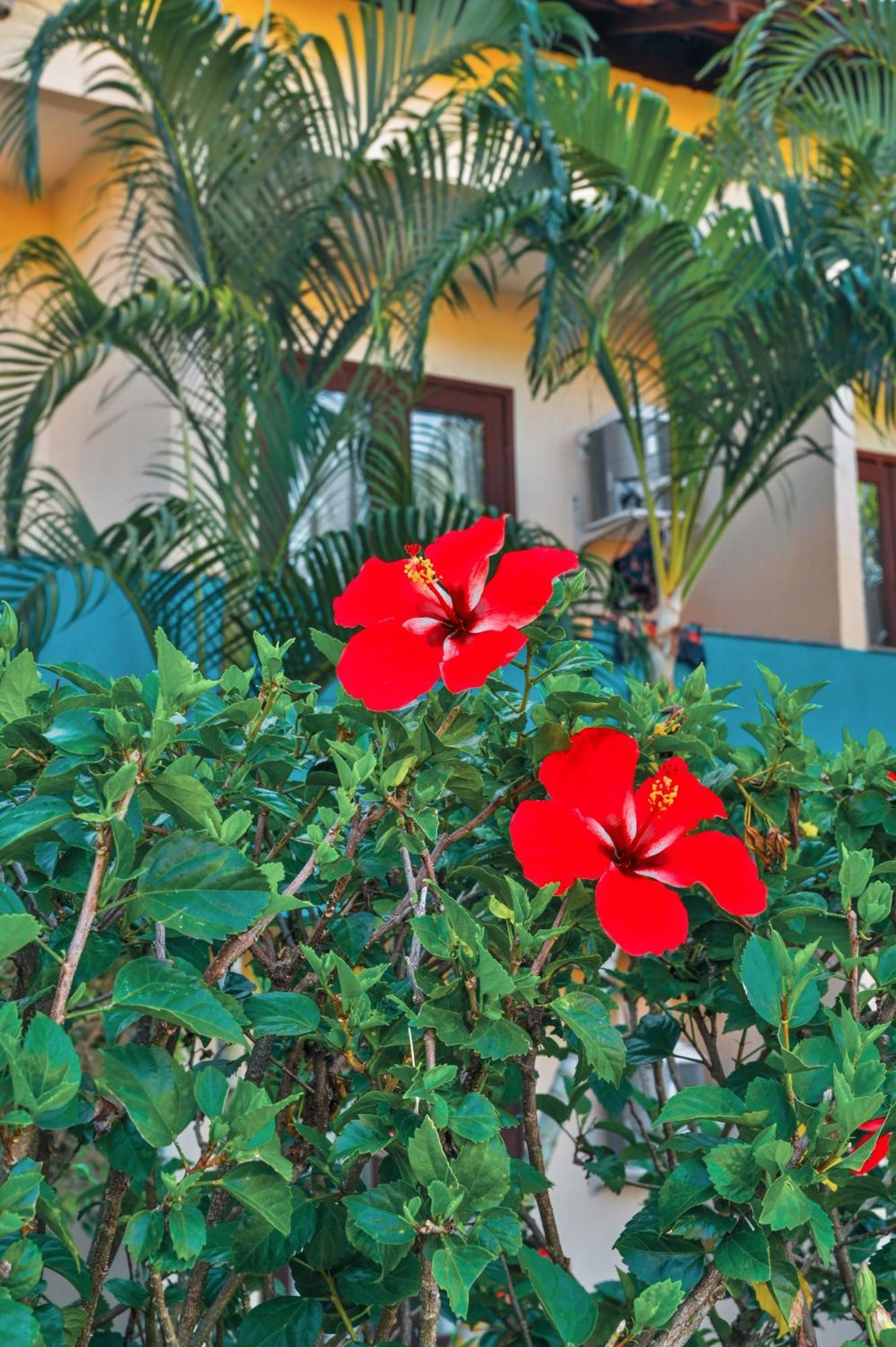 Hotel Ayla Centro Porto Segur