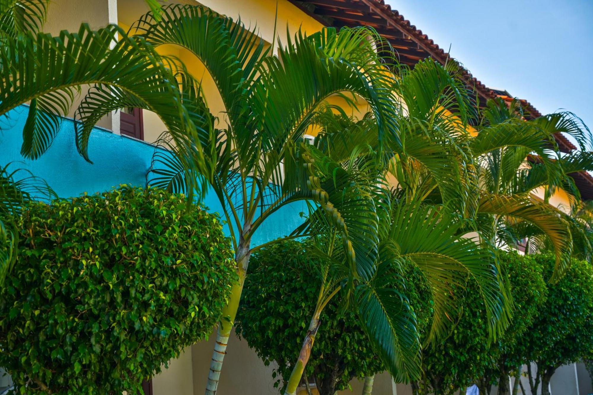 Hotel Ayla Centro Porto Segur